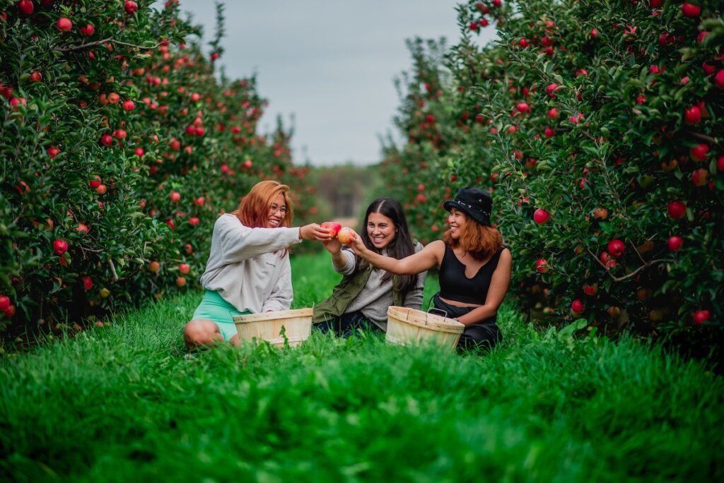 Apple Picking Farm Day